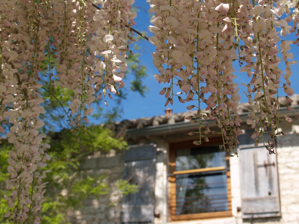La Vayssade - Maison D'Hotes - Jacuzzi, Piscine & Truffes Lalbenque Exterior photo